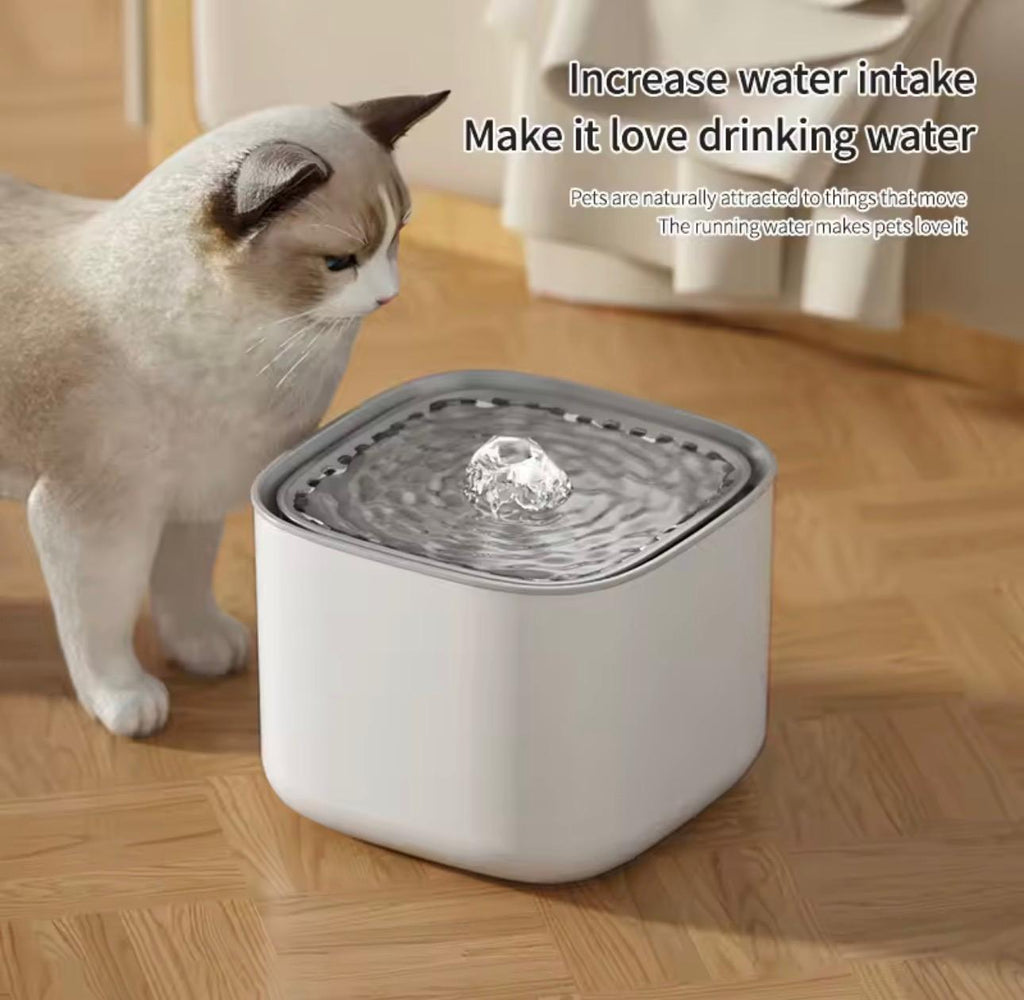 3L Large Capacity Canine Cat Dog Pet Circulating Filter Pet Fountain Feeder Automatic Water Dispenser with USB Port for Pets